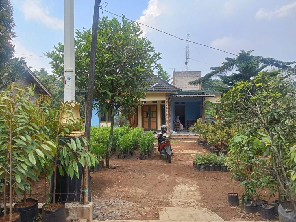 Kisah Inspiratif Ibu Suparsini: 20 Tahun Menekuni Bisnis Benih Tanaman Penuh Lika-Liku dan Harapan