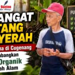 Semangat Pantang Menyerah, Pelaku Usaha di Cugenang Sukses Kembangkan Pupuk Organik dari Limbah Alam