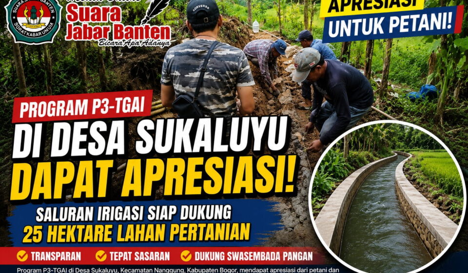 DD